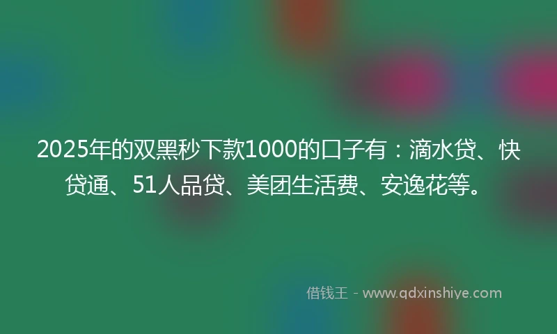 2025年的双黑秒下款1000的口子有：滴水贷、快贷通、51人品贷、美团生活费、安逸花等。