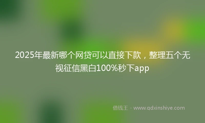2025年最新哪个网贷可以直接下款，整理五个无视征信黑白100%秒下app