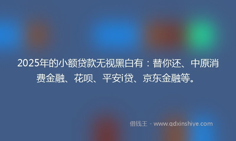 2025年的小额贷款无视黑白有：替你还、中原消费金融、花呗、平安i贷、京东金融等。