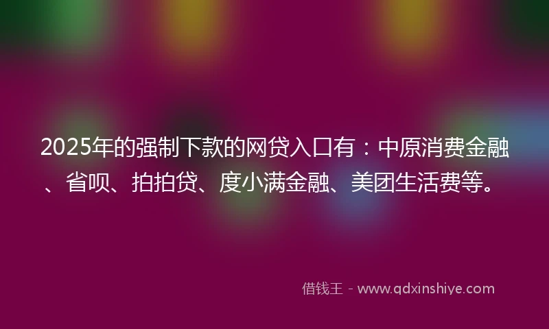 2025年的强制下款的网贷入口有：中原消费金融、省呗、拍拍贷、度小满金融、美团生活费等。