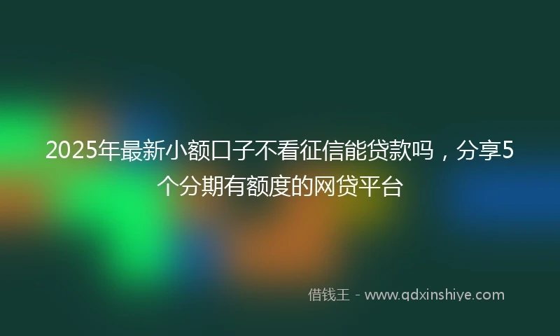 2025年最新小额口子不看征信能贷款吗，分享5个分期有额度的网贷平台