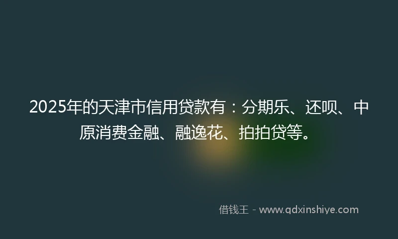 2025年的天津市信用贷款有：分期乐、还呗、中原消费金融、融逸花、拍拍贷等。