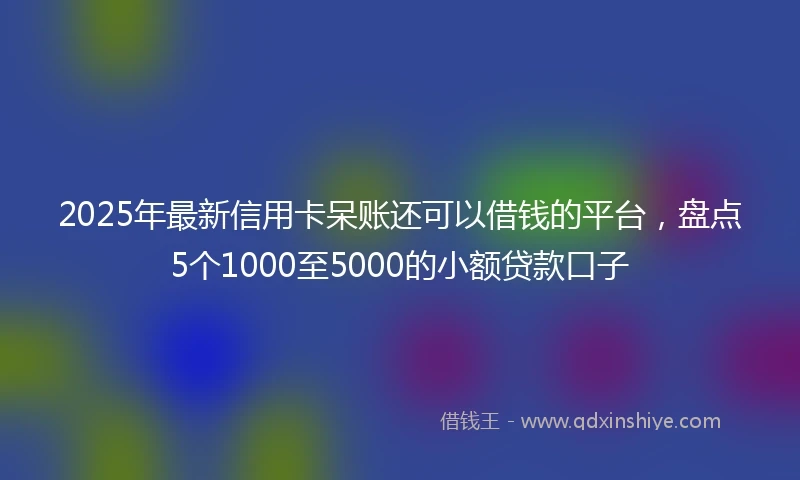 2025年最新信用卡呆账还可以借钱的平台，盘点5个1000至5000的小额贷款口子