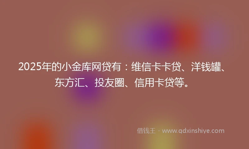 2025年的小金库网贷有：维信卡卡贷、洋钱罐、东方汇、投友圈、信用卡贷等。