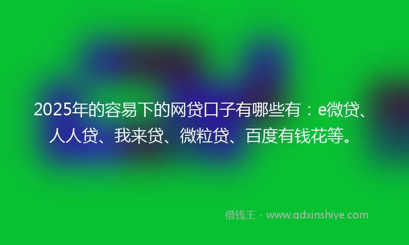 2025年的容易下的网贷口子有哪些有：e微贷、人人贷、我来贷、微粒贷、百度有钱花等。