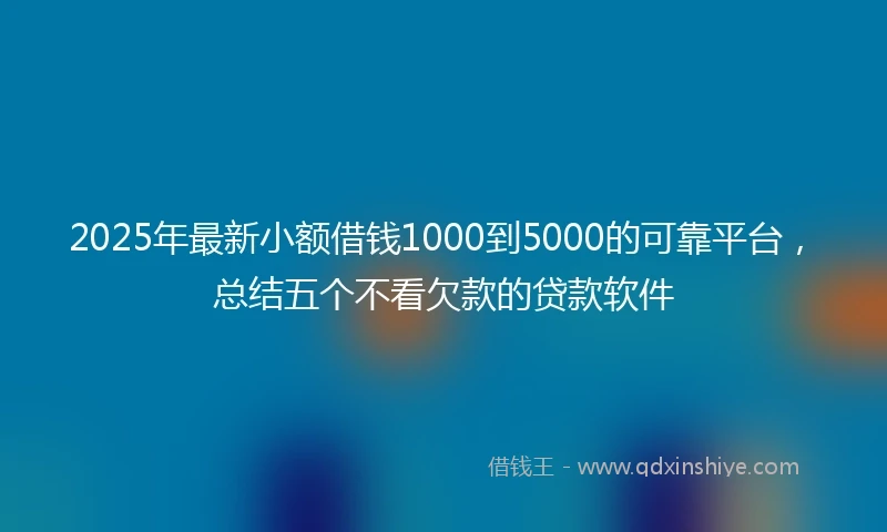 2025年最新小额借钱1000到5000的可靠平台，总结五个不看欠款的贷款软件