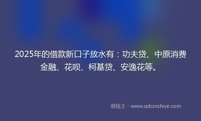 2025年的借款新口子放水有：功夫贷、中原消费金融、花呗、柯基贷、安逸花等。