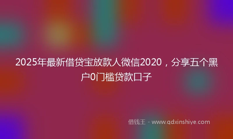 2025年最新借贷宝放款人微信2020，分享五个黑户0门槛贷款口子