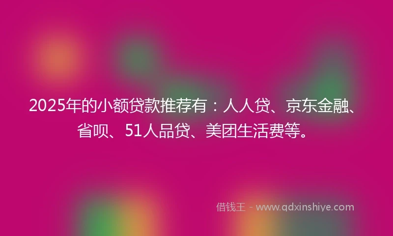 2025年的小额贷款推荐有：人人贷、京东金融、省呗、51人品贷、美团生活费等。