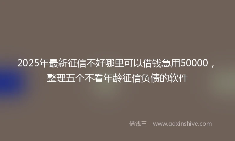 2025年最新征信不好哪里可以借钱急用50000，整理五个不看年龄征信负债的软件