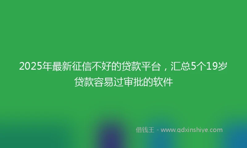 2025年最新征信不好的贷款平台，汇总5个19岁贷款容易过审批的软件