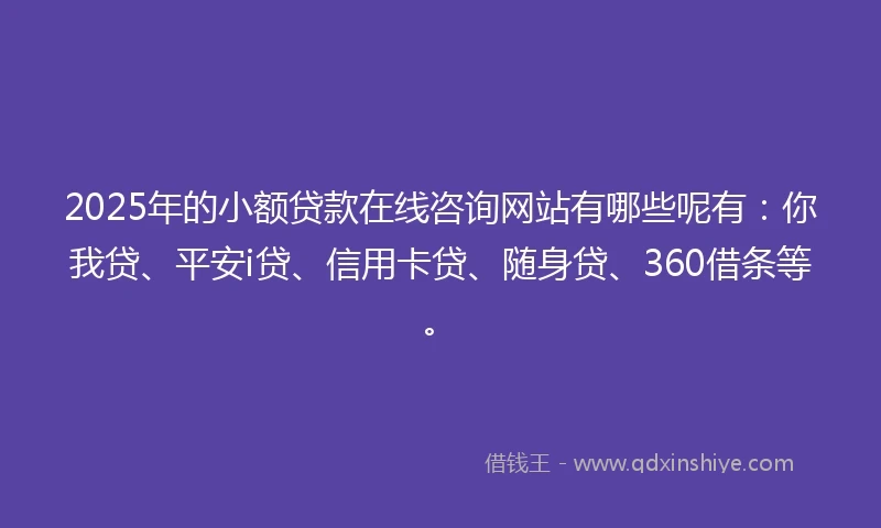 2025年的小额贷款在线咨询网站有哪些呢有：你我贷、平安i贷、信用卡贷、随身贷、360借条等。