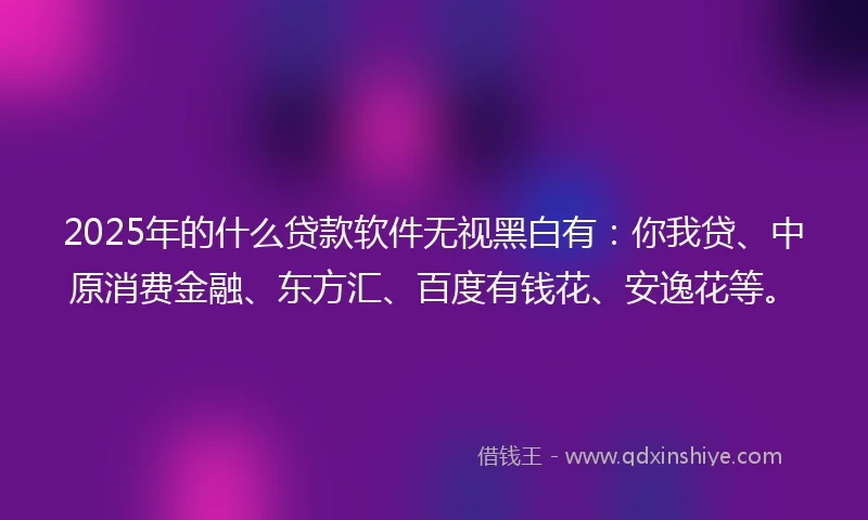2025年的什么贷款软件无视黑白有：你我贷、中原消费金融、东方汇、百度有钱花、安逸花等。