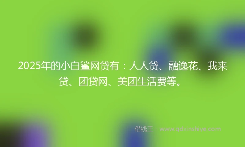 2025年的小白鲨网贷有：人人贷、融逸花、我来贷、团贷网、美团生活费等。