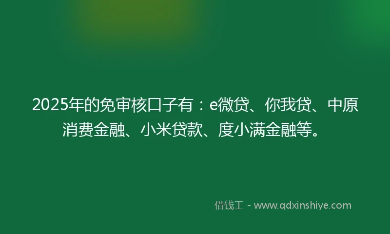 2025年的免审核口子有：e微贷、你我贷、中原消费金融、小米贷款、度小满金融等。