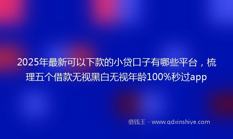 2025年最新可以下款的小贷口子有哪些平台，梳理五个借款无视黑白无视年龄100%秒过app