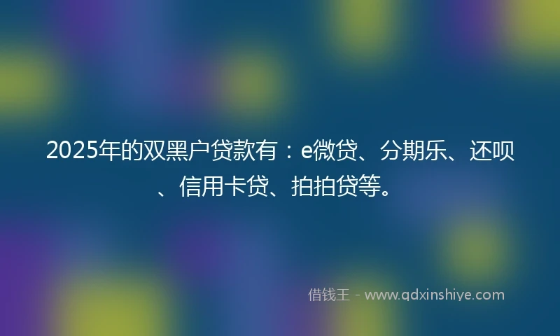 2025年的双黑户贷款有：e微贷、分期乐、还呗、信用卡贷、拍拍贷等。