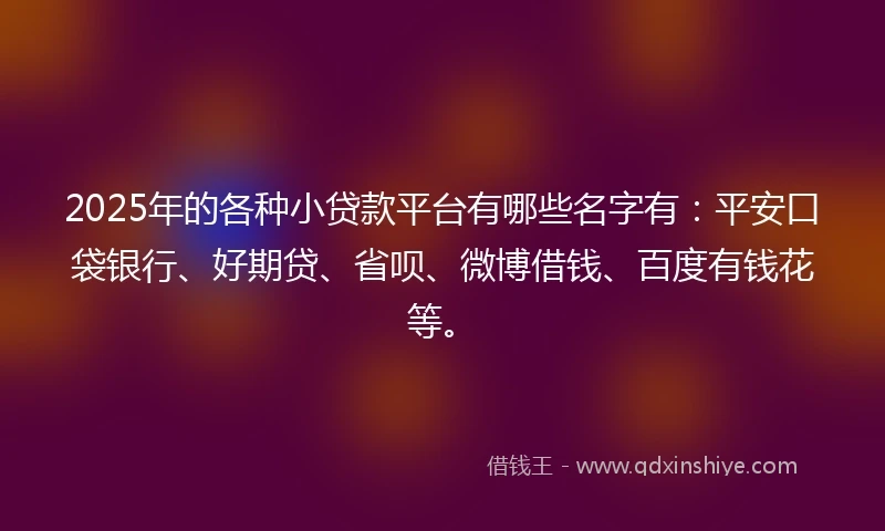 2025年的各种小贷款平台有哪些名字有：平安口袋银行、好期贷、省呗、微博借钱、百度有钱花等。