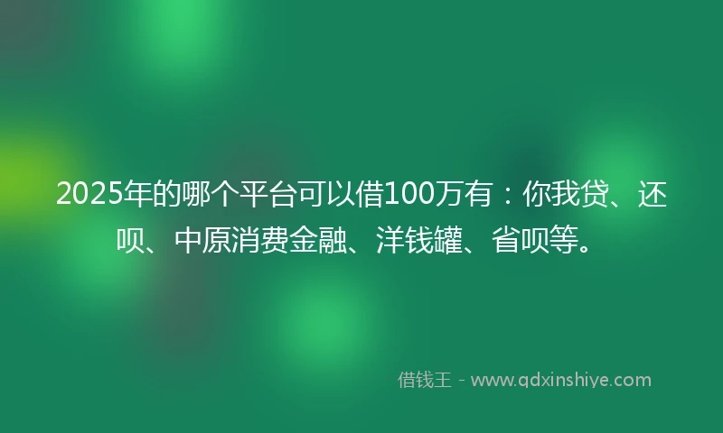 2025年的哪个平台可以借100万有：你我贷、还呗、中原消费金融、洋钱罐、省呗等。