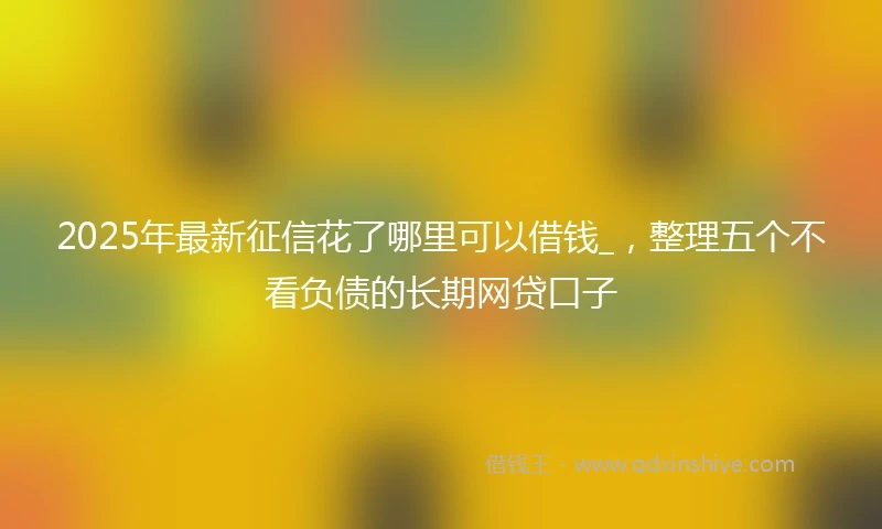 2025年最新征信花了哪里可以借钱_，整理五个不看负债的长期网贷口子
