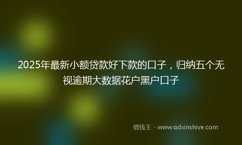 2025年最新小额贷款好下款的口子，归纳五个无视逾期大数据花户黑户口子