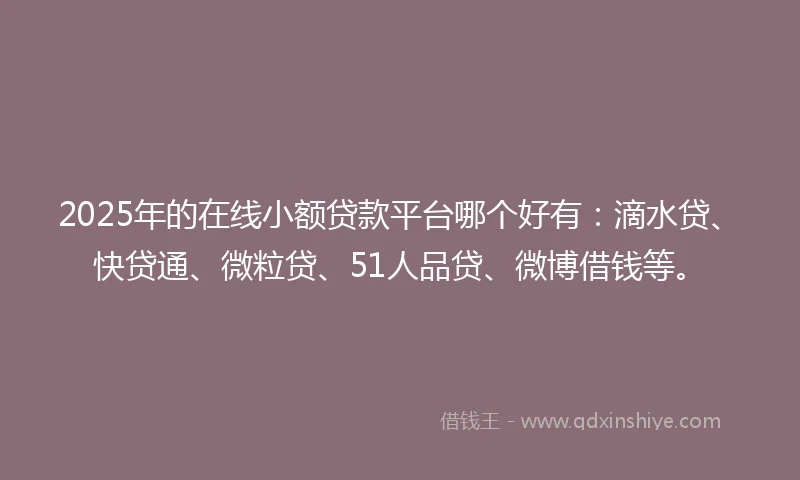 2025年的在线小额贷款平台哪个好有：滴水贷、快贷通、微粒贷、51人品贷、微博借钱等。