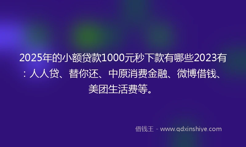 2025年的小额贷款1000元秒下款有哪些2023有：人人贷、替你还、中原消费金融、微博借钱、美团生活费等。