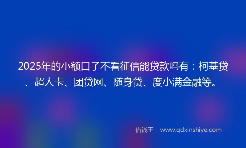 2025年的小额口子不看征信能贷款吗有：柯基贷、超人卡、团贷网、随身贷、度小满金融等。