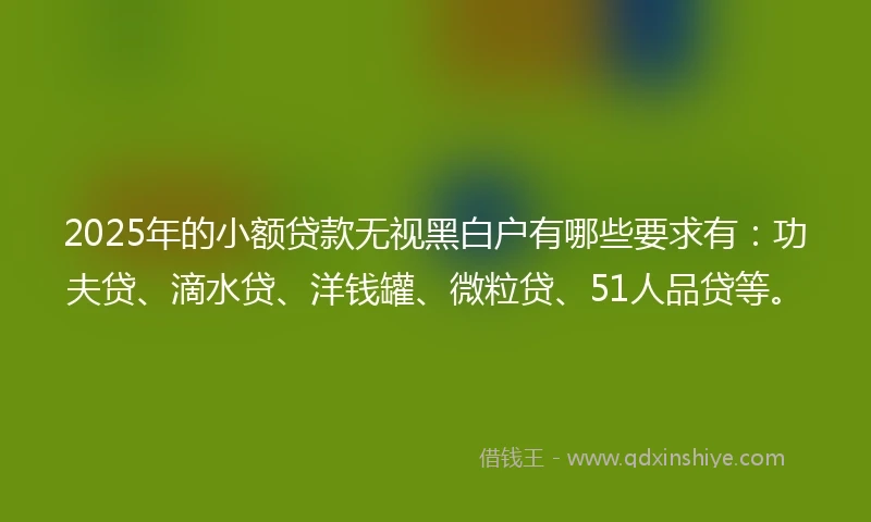 2025年的小额贷款无视黑白户有哪些要求有：功夫贷、滴水贷、洋钱罐、微粒贷、51人品贷等。