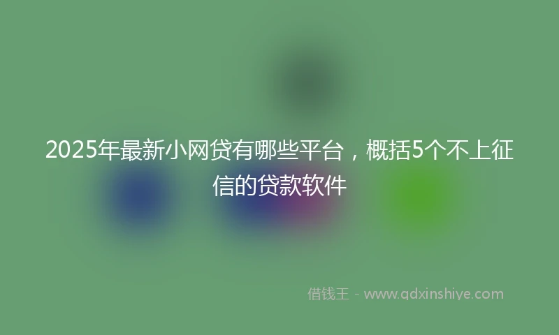 2025年最新小网贷有哪些平台，概括5个不上征信的贷款软件