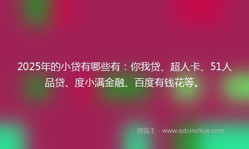 2025年的小贷有哪些有：你我贷、超人卡、51人品贷、度小满金融、百度有钱花等。