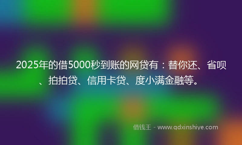 2025年的借5000秒到账的网贷有：替你还、省呗、拍拍贷、信用卡贷、度小满金融等。