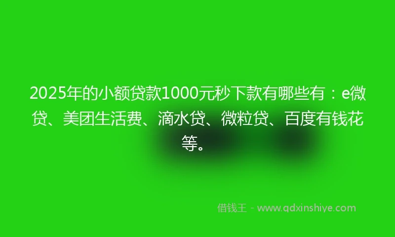 2025年的小额贷款1000元秒下款有哪些有：e微贷、美团生活费、滴水贷、微粒贷、百度有钱花等。