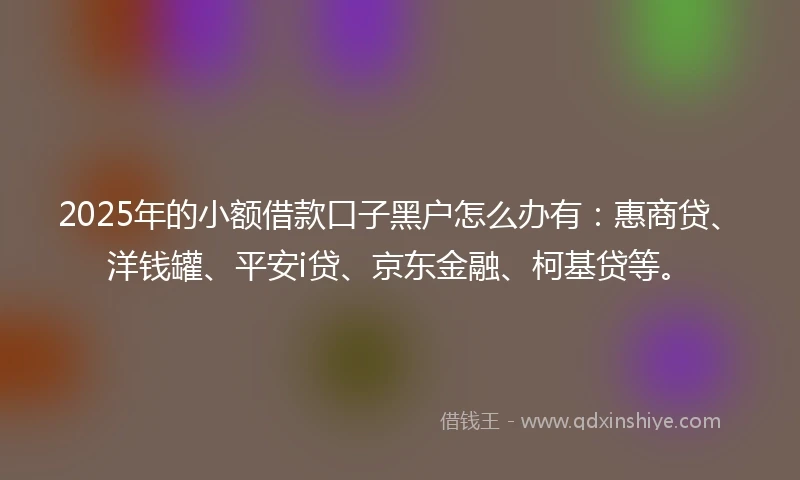 2025年的小额借款口子黑户怎么办有：惠商贷、洋钱罐、平安i贷、京东金融、柯基贷等。