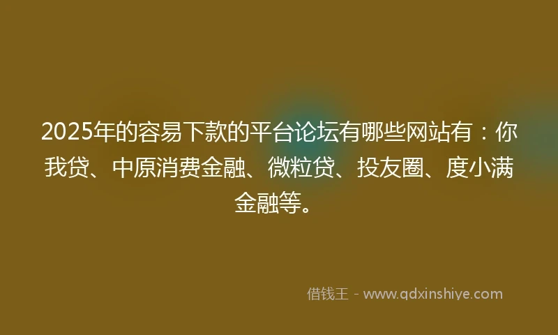 2025年的容易下款的平台论坛有哪些网站有：你我贷、中原消费金融、微粒贷、投友圈、度小满金融等。