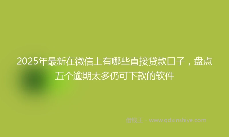 2025年最新在微信上有哪些直接贷款口子，盘点五个逾期太多仍可下款的软件