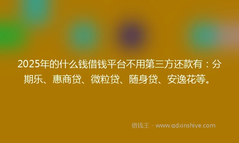 2025年的什么钱借钱平台不用第三方还款有：分期乐、惠商贷、微粒贷、随身贷、安逸花等。