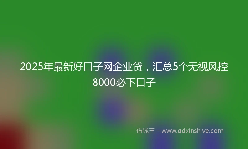 2025年最新好口子网企业贷，汇总5个无视风控8000必下口子