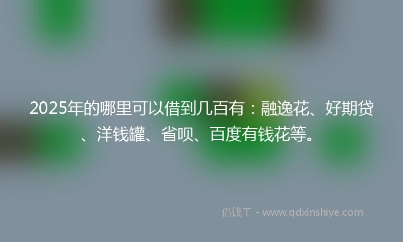 2025年的哪里可以借到几百有：融逸花、好期贷、洋钱罐、省呗、百度有钱花等。