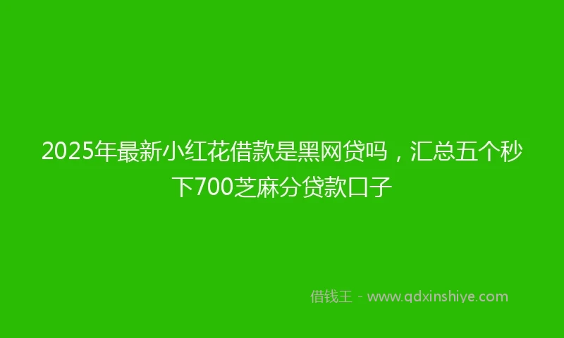 2025年最新小红花借款是黑网贷吗，汇总五个秒下700芝麻分贷款口子