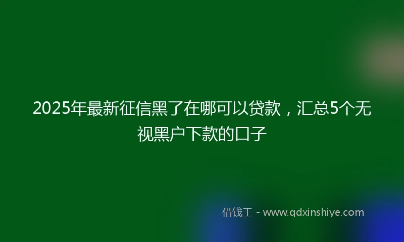 2025年最新征信黑了在哪可以贷款，汇总5个无视黑户下款的口子