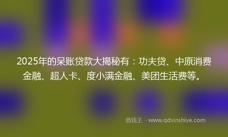 2025年的呆账贷款大揭秘有：功夫贷、中原消费金融、超人卡、度小满金融、美团生活费等。