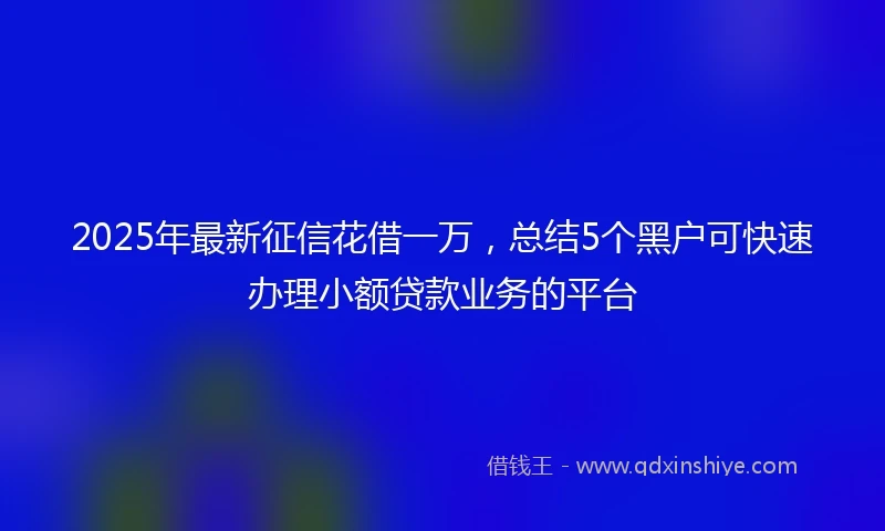 2025年最新征信花借一万，总结5个黑户可快速办理小额贷款业务的平台