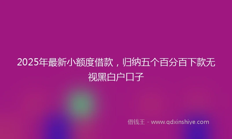 2025年最新小额度借款，归纳五个百分百下款无视黑白户口子