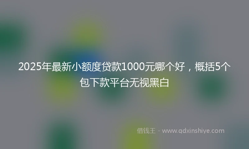 2025年最新小额度贷款1000元哪个好，概括5个包下款平台无视黑白