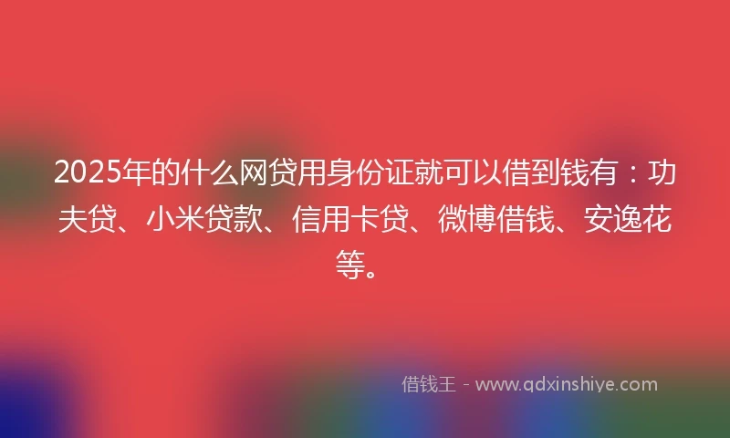 2025年的什么网贷用身份证就可以借到钱有：功夫贷、小米贷款、信用卡贷、微博借钱、安逸花等。