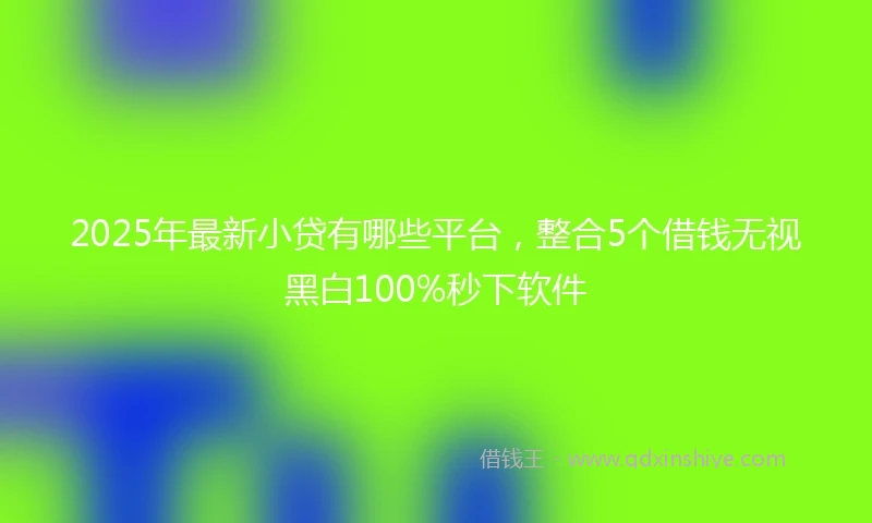 2025年最新小贷有哪些平台，整合5个借钱无视黑白100%秒下软件