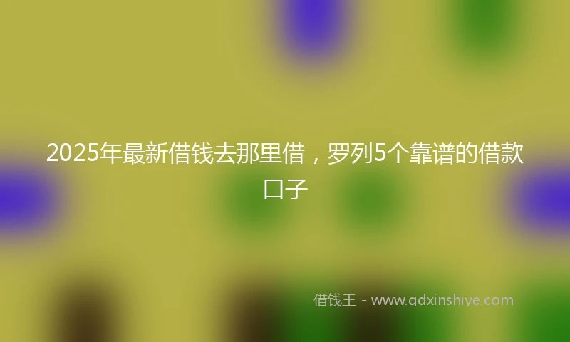 2025年最新借钱去那里借，罗列5个靠谱的借款口子