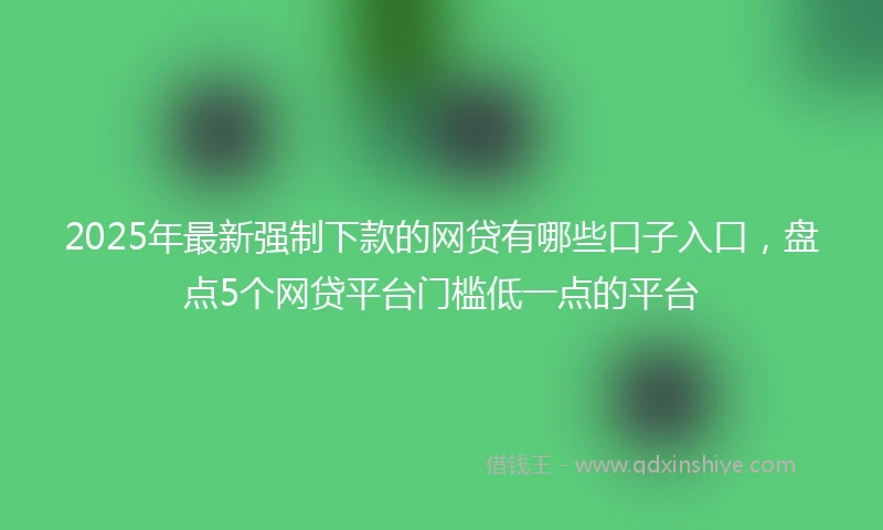 2025年最新强制下款的网贷有哪些口子入口，盘点5个网贷平台门槛低一点的平台