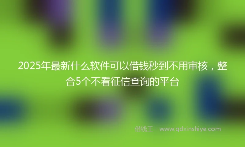 2025年最新什么软件可以借钱秒到不用审核，整合5个不看征信查询的平台